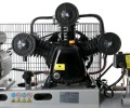 big_T-IMG-0012.jpg